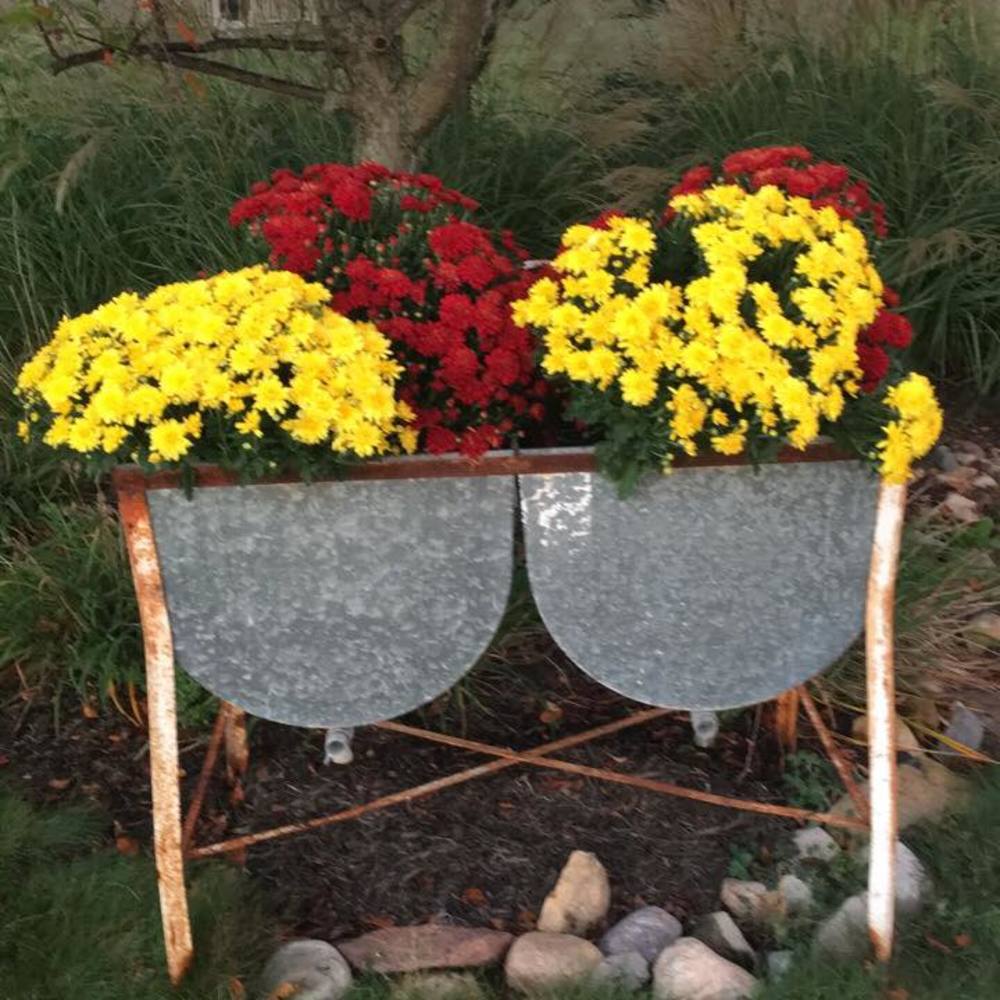 Meet your Posher, Dara